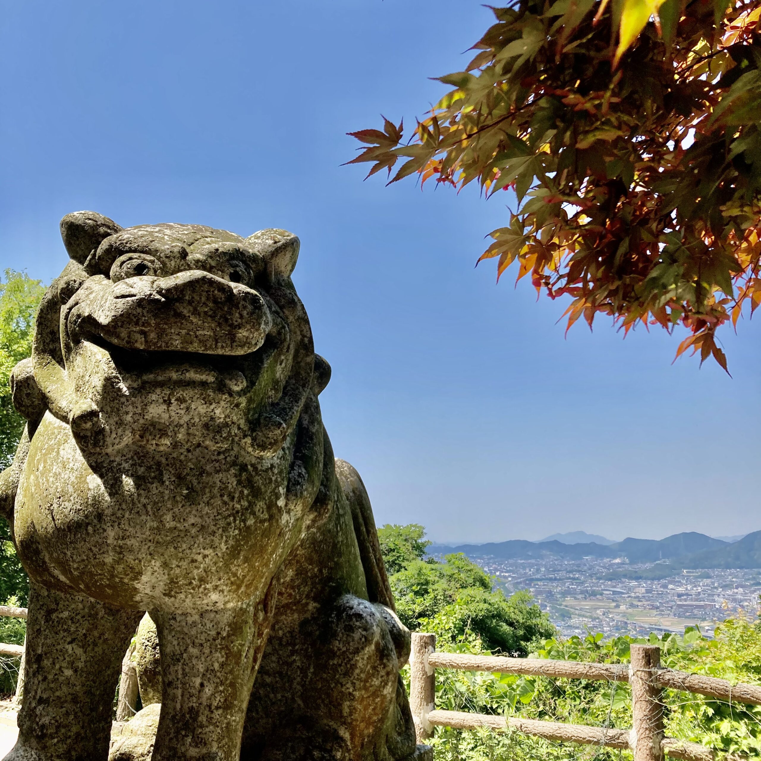 天拝山の山頂の狛犬